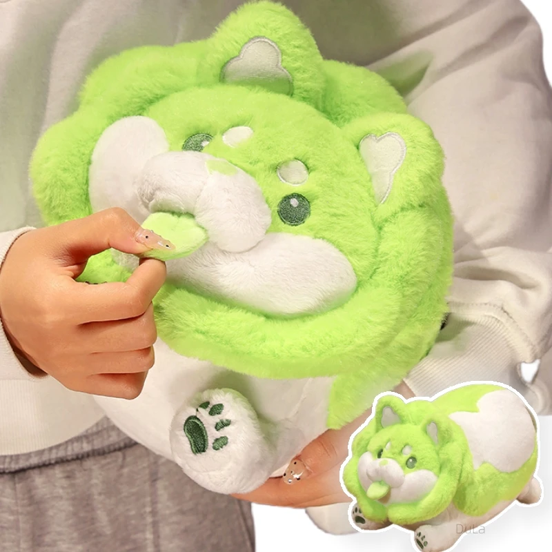 창의적인 귀여운 야채 요정 봉제 장난감, 재미있는 양배추견 인형, 동물 솜털 개, 부드러운 쿠션, 어린이 선물, 홈 장식