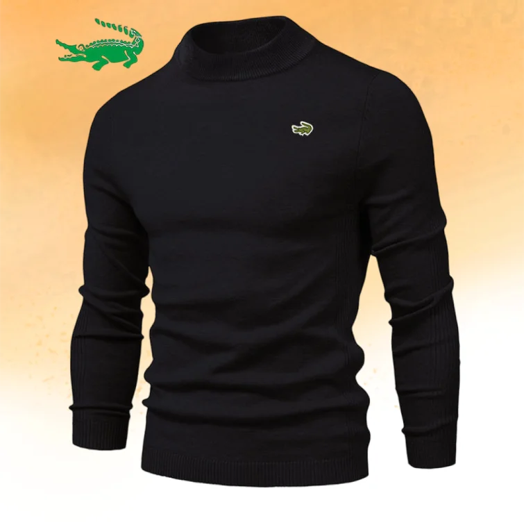 

New Winter Turtleneck Thick Mens Sweaters Casual Turtle Neck Solid Color Quality Warm Slim Turtleneck Sweaters Pullover Men