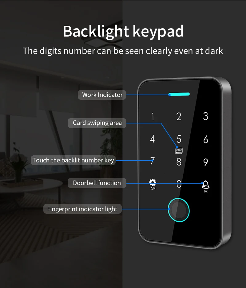 13.56Mhz Rfid Card Keypad Waterproof Tuya APP Door Lock Door Access Control Syst