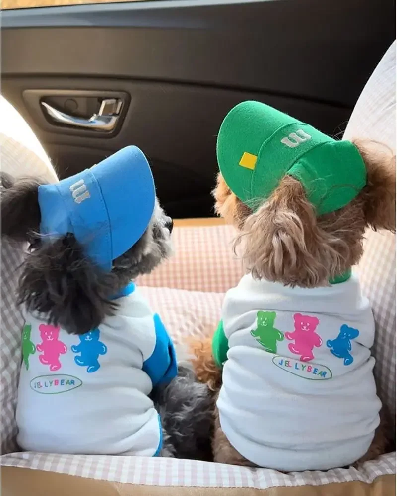 Chapeau brodé pour petits chiens, 3 couleurs, réglable avec élastique, accessoires pour animaux de compagnie