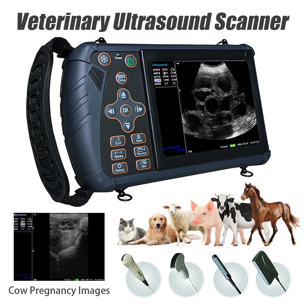 

Handheld Ultrasound Scanner Veterinary Pregnancy Check 5.6 Inch Portable Vet B-Ultra Machine for Dog Pig Sheep Cattle Horse Farm