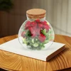 2Pcs Glass Terrarium Ecological Bottle Plant Vase Desktop MicroLandscape Bottle Transparent Glass Moss Crafts Mini Landscape 3