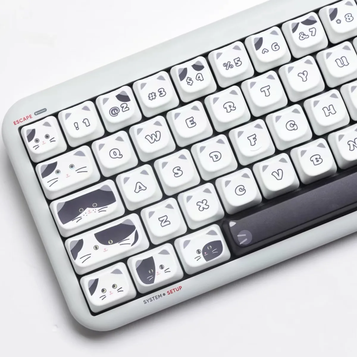Cat-Themed PBT Keycaps for Keyboard Enthusiasts at Rockatship
