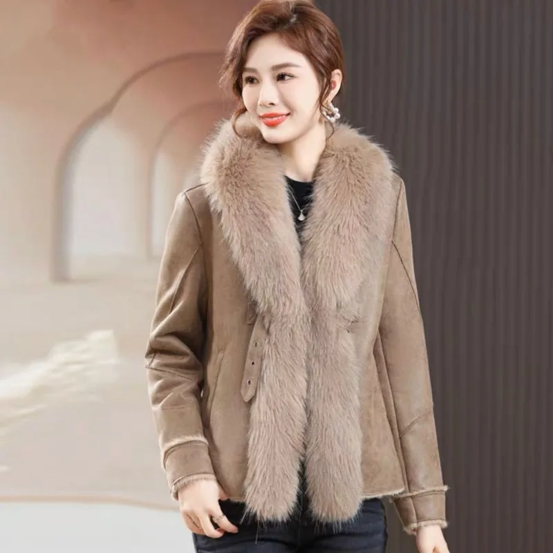 Women's High-End Imitation Fur Coat, Female Temperament, Slim Fit, Short Warm Outwear, Monochromatic, Casual, Versatile, Fashion