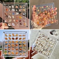 36 Grid Shell Storage Box Acrylic Mineral Stone Specimen Storage Box closet organizer jewelry organizer storage containers 2