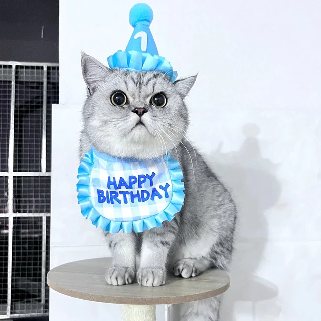 Cat Birthday Scarf Hat Set Dog Birthday Party Supplies Pet Scarf Cute Puppy Birthday Hat Scarf Decor For Small Medium Pets 5