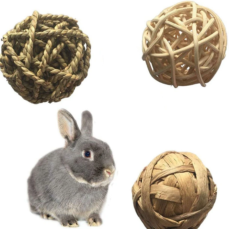 Small Animal Chew Toys 4