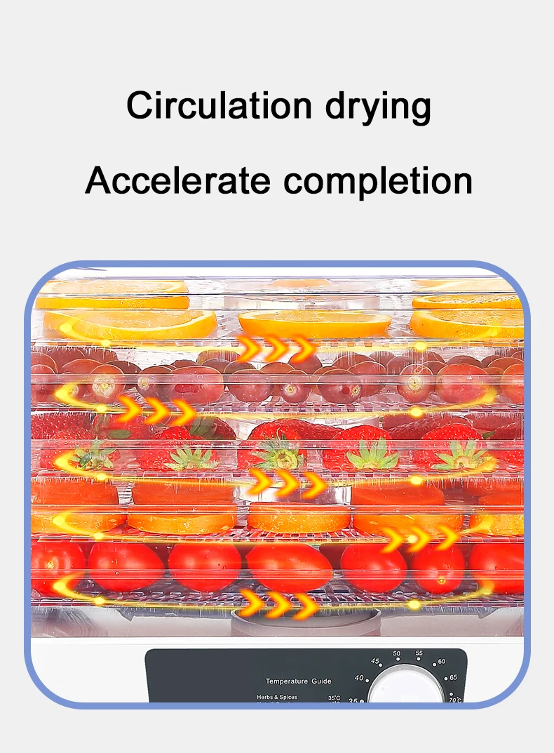DMWD Household Dried Fruit Vegetables Herb Dehydrated Pet Meat Drying Machine Food Dehydrator 5 Trays Snacks Hot Air Dryer 110V