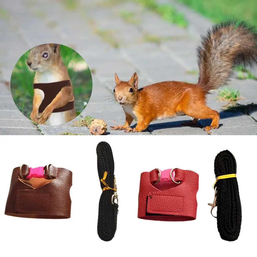 Squirrel Training Rope Squirrel Train Tool Leash Split Vest Small Animals Rabbit Iguana Chinchilla Traction Rope