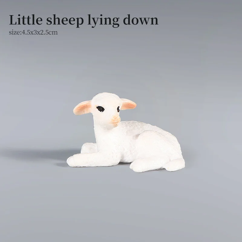 Animal-4