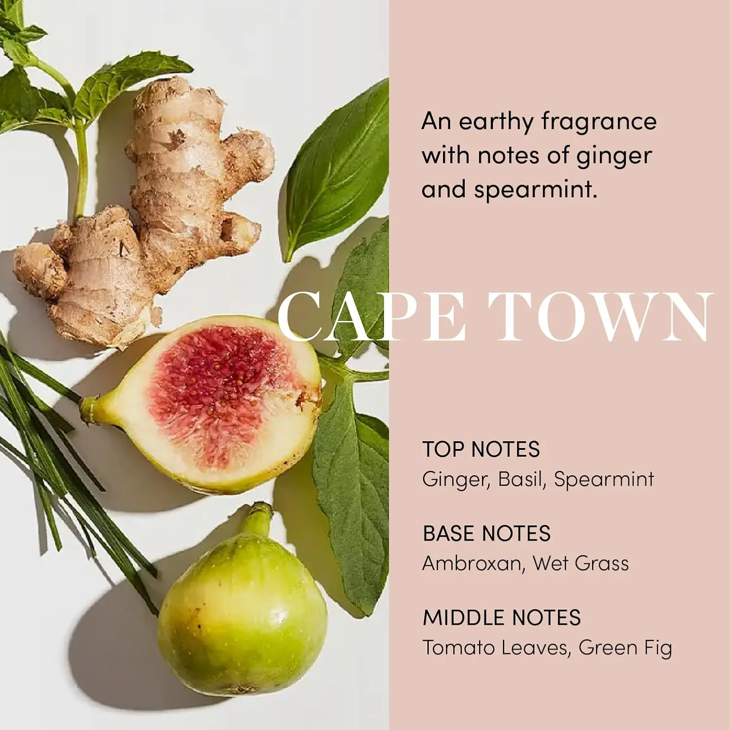 OUAI Scalp Serum Balancing and Hydrating Serum with Red Clover Extract, Siberian Ginseng and Peptides for Thicker Fuller