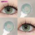 Persian cat Green