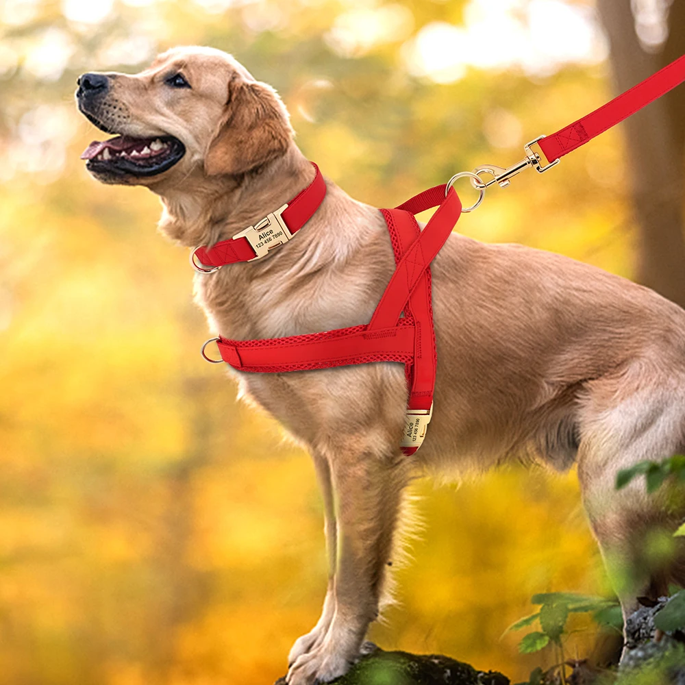 Leather Dog Collar Harness Leash Set Personalized Pet Mesh Vest Harness ID Pet Leads For Small Medium Large Dogs