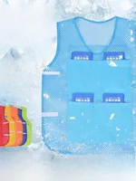 Men's Ice Bag Cooling Vest