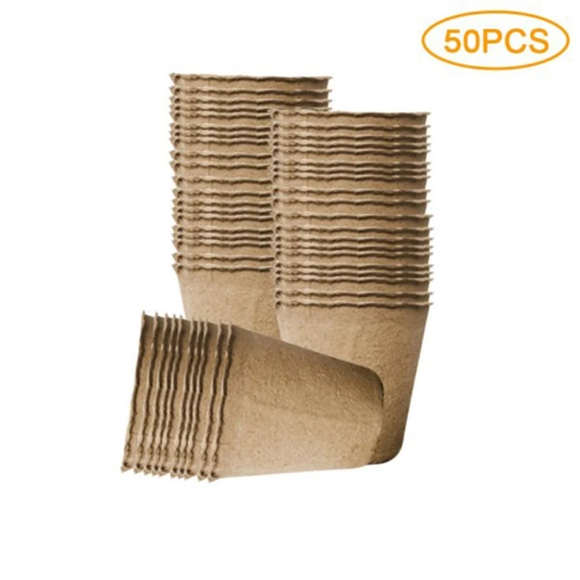 50PCS