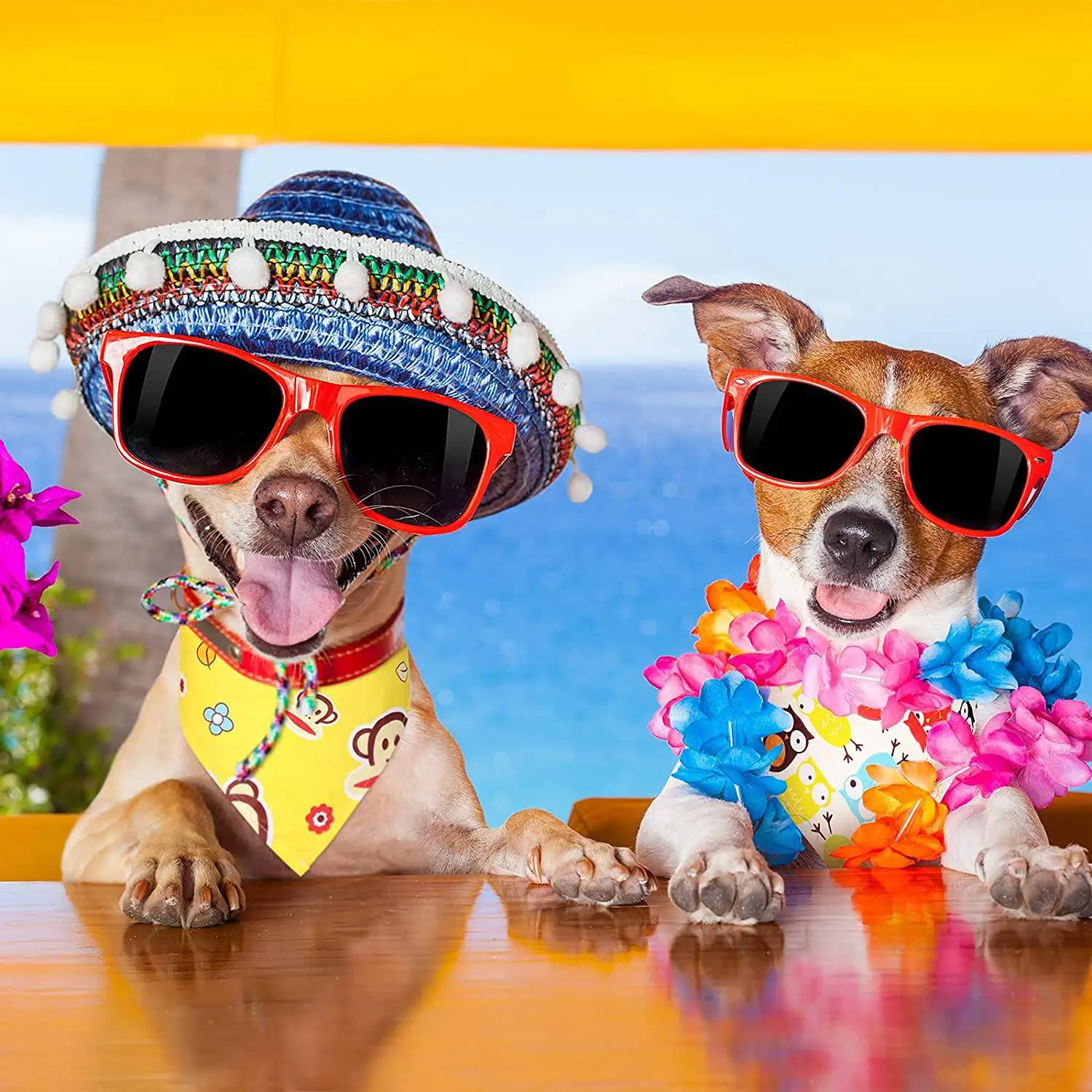 30 Pcs Sublimation Blank Pet Bandana Heat Transfer Washable DIY Triangle Dog Scarf Bibs Kerchief for Dogs Puppy Cats