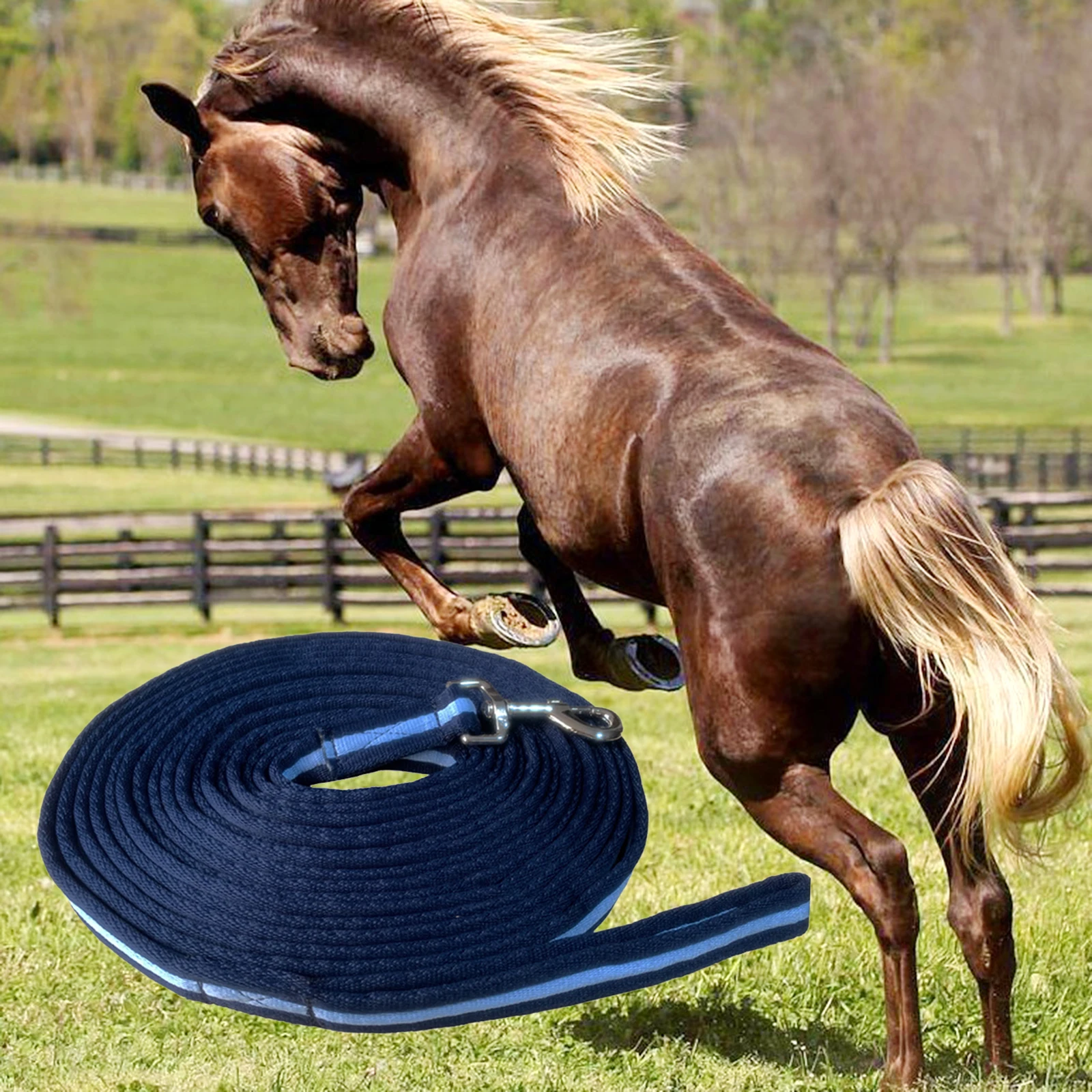 8m Horse Lead Rope Lunge Line Strong Thickened Dog Horse Training Leash Thickened Heavy Duty Strong  Obedience Recall Rope 5