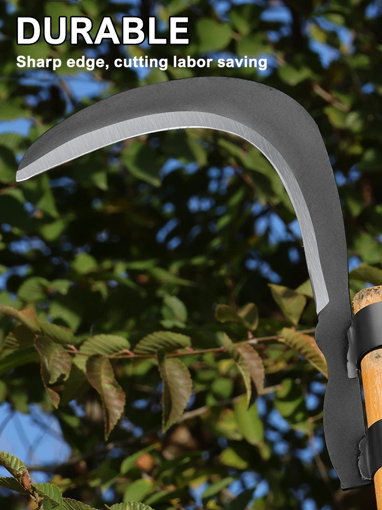 Slide image ad57ad205e114144b2dee7aafb7e0ab5