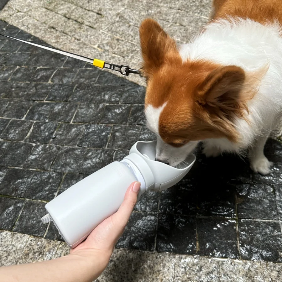 Portable Dog Travel Water Bottle 2