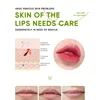 55902-a4a7ba.png Aloe Lip Balm Healing Lasting Moisturizing All-natural Lip Mask For Dry Lips Lip Moisturizing Power Lip Care Nourishing Repair