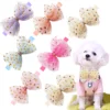 10PCS Pets Dogs Cats Lace Bowties Solid Adjustable Pet Collar Bling Neckties Bulk Puppy Dog Bow Ties Chihuahua Dog Accessories 1