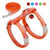 Nylon Cat Harness Vest Leash Lead For Kitten Puppy Adjustable Small Medium Cats Dog Harness With Bell Accessories Leash Set 1