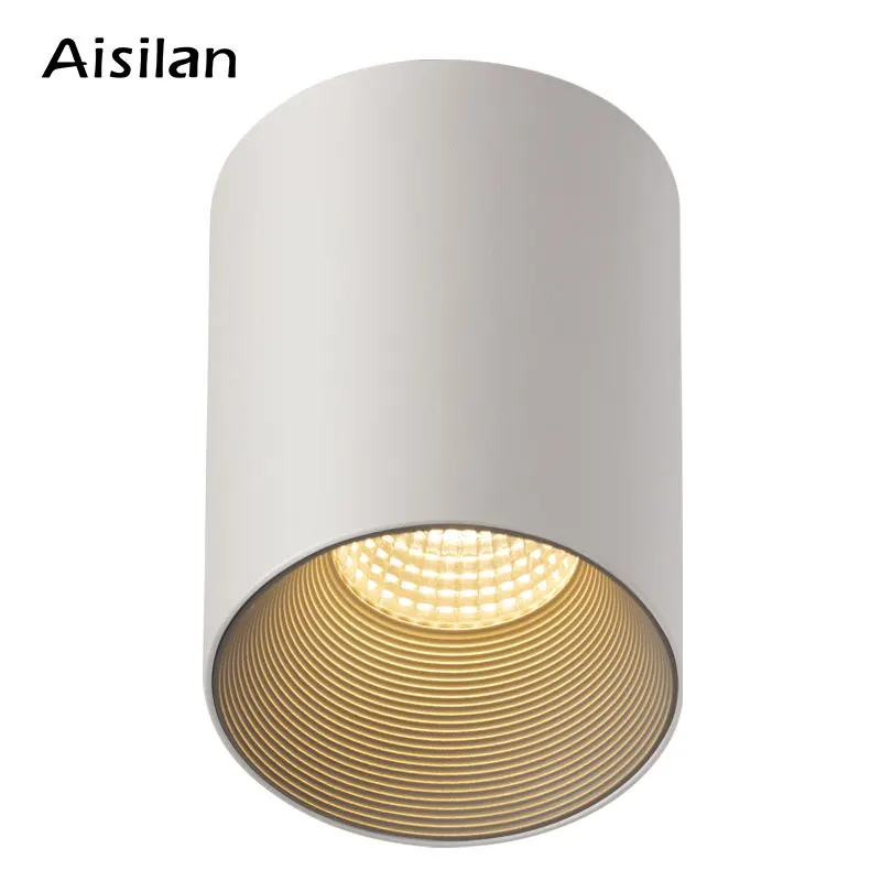 Aisilan LED Surface Mounted Downlight Matte Aluminum 7W Spotlight CRI 97 Anti Glare Ceiling Lamp for Bedroom Entrance AC 90-260V