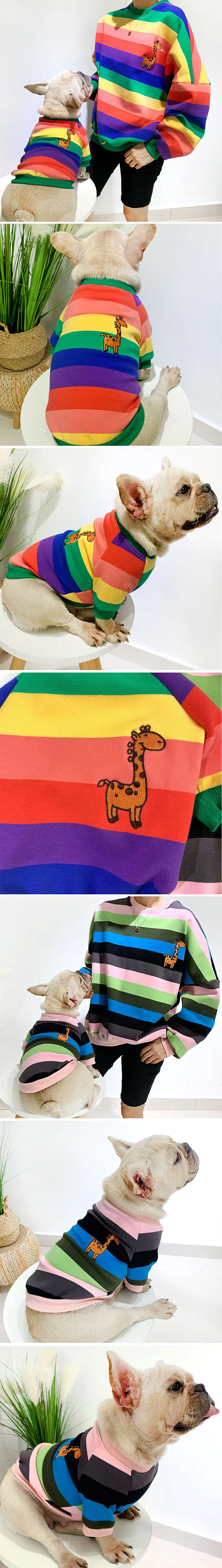 Sweat Arc-en-ciel rayé pour chien et son maitre