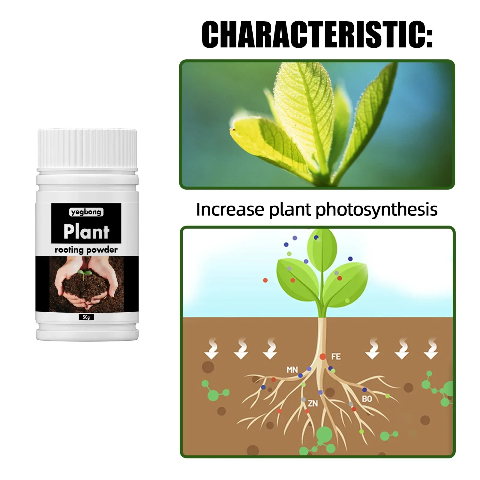 Rare Plant Rooting Powder for Fruit, Flower, Hydroponics