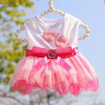 Sweet Dog Princess Dress for Small Dogs Spring Autumn Summer Puppy Dog Lace Tutu Dress Chihuahua Dog Skirt Pet Apparel Dog Dress 3
