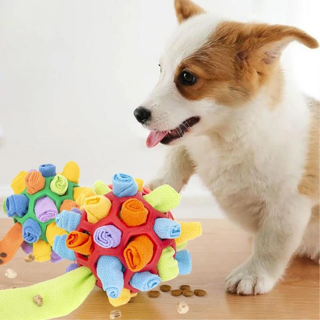 Pets Smell Sniffing Fried Balls Toys Dog Blind Box Hide Food