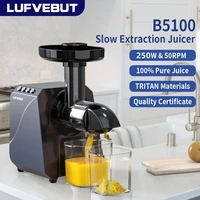 LUFVEBUT Slow Juicer Vegetables And Fruits Electric Juice Extractor Squeezer 200W Power Easy Wash Slow Masticating Juicer 1