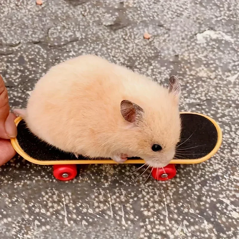 Anti-Slip Frosted Skateboard Toy for Hamsters-Fun & Safe Small Pet Playtime!