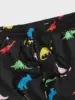 Men's beach shorts Dinosaur pattern 3D Printed  Board Summer Swim Trunks Elastic Waist Drawstring Hawaiian Style 2