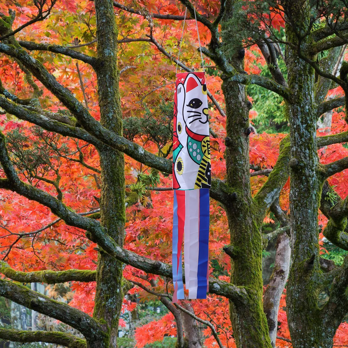 Koinobori Windsock Flag Japanese Hanging Outdoor Carp Windsocks Socks Wind Decorations Gifts Decoration Festival Decor Wall 2