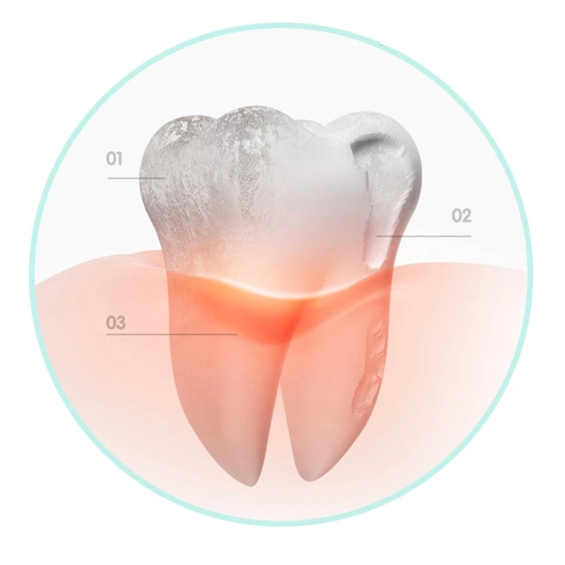 پ ޴  Flosser ġ Ŭ  Irrigator 3    ȿ PlaqueTartar 