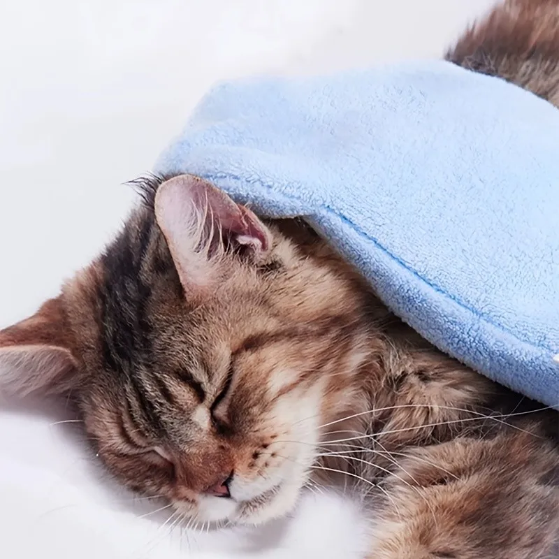 Dog Bath Gloves Absorbent Pet Bath Towels for Small Medium Dogs Cats Glove-style Pet Towels Grooming Tool