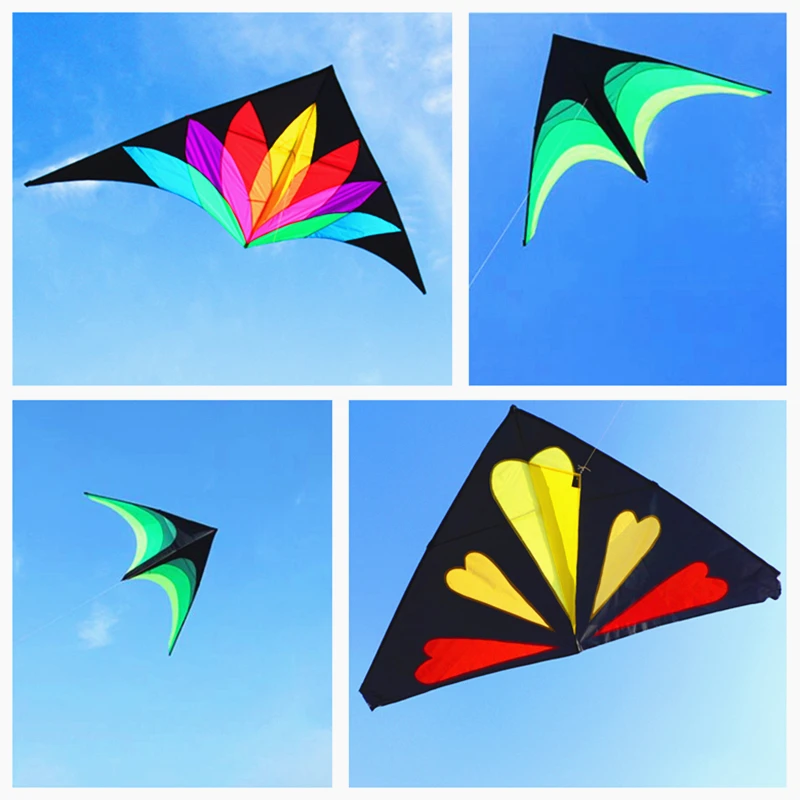 free shipping professional kites flying delta kite adults kites factory fabric for kite delta wing drag kite beach wind parrot