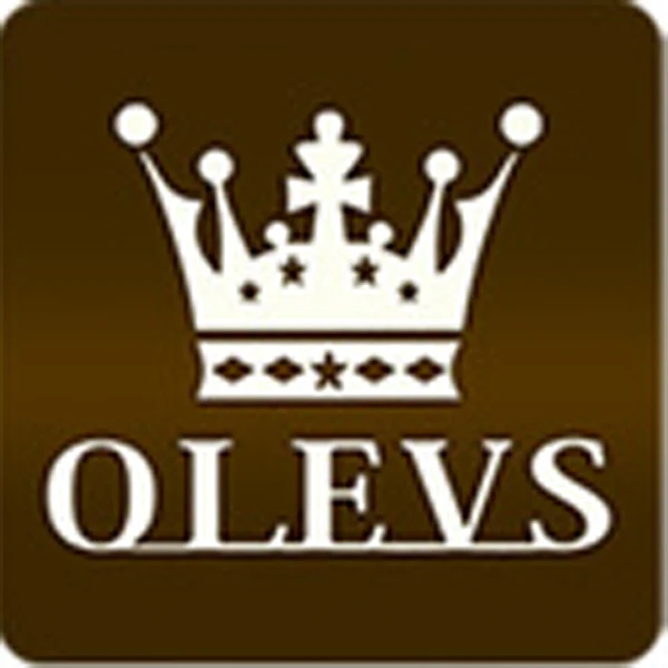 OLEVS WATCH FACTORY Store