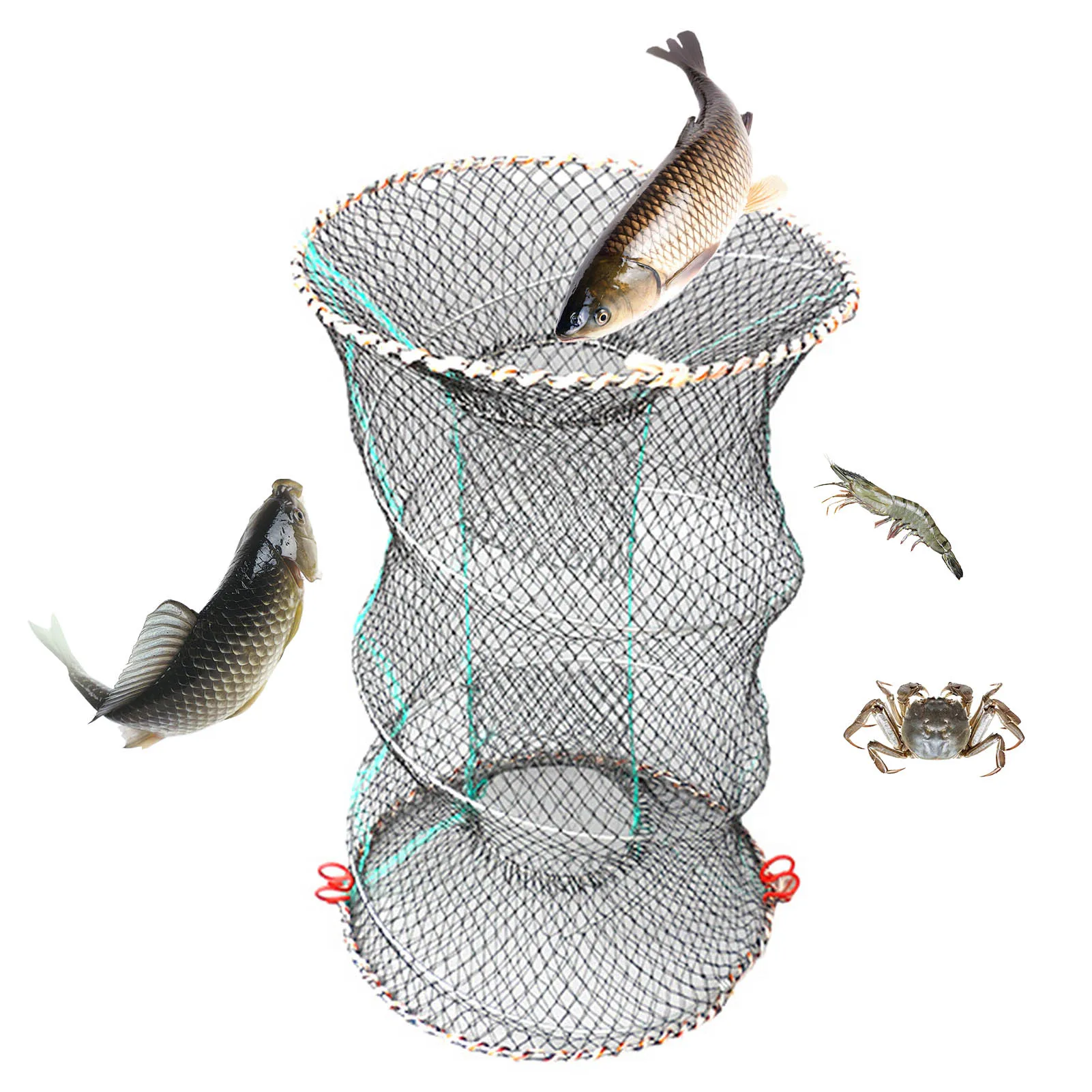 Description Picture 4 of itemFoldable Fishing Cage 25x45cm Portable Steel Wire Fishing Net Large Capacity Quick Drying Spring Fish Cage Fishing Accessories
