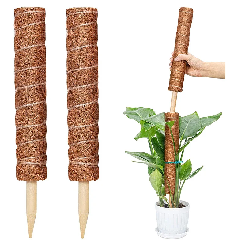 30/40/50CM Plant Climbing Pole Palm Stick Vine Support Extension Potted Plants Support Stakes Moss Pole Garden Tool Flower Decor