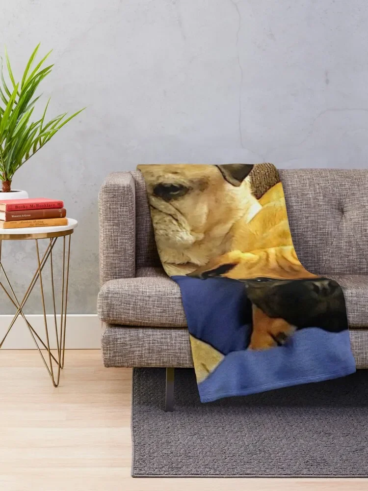 �۱� ������ ��� �� ��, �Ƹ��ٿ� ����, ���Ÿ� �귣�� ���