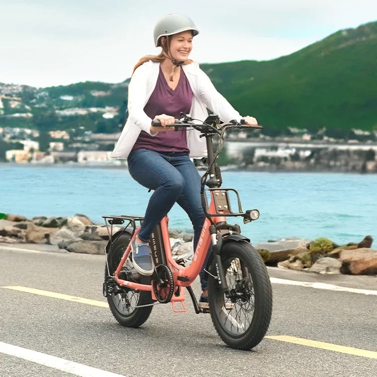 Electric Bicycle engwe L20 750w motor 48v 13ah lithium battery adult Electric Bike 20 inch fat tire fold Urban leisure E-bike