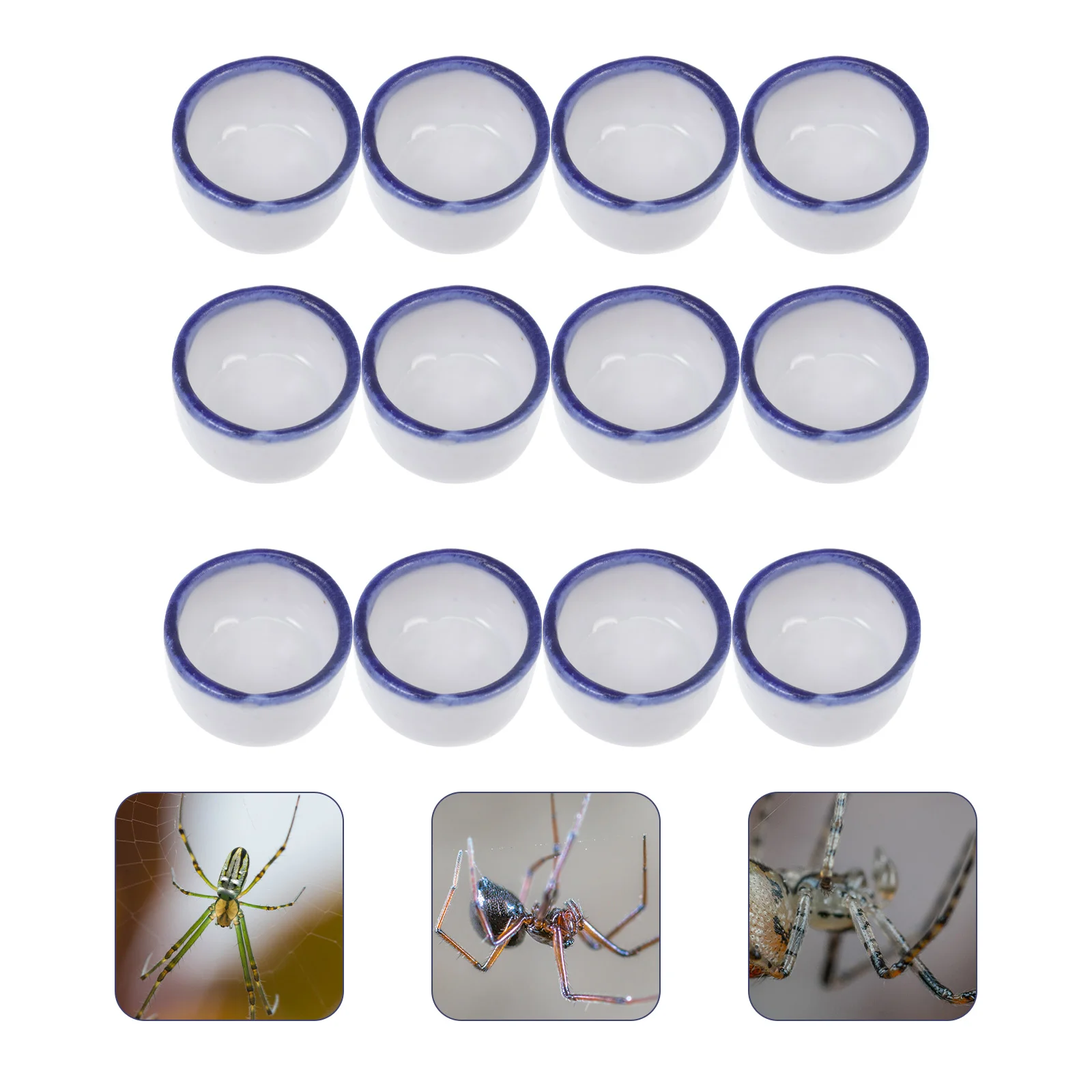 

Basin Small Reptile Water Sink Animal Mini Ceramic Bowl for Pet Decor Basins Gecko