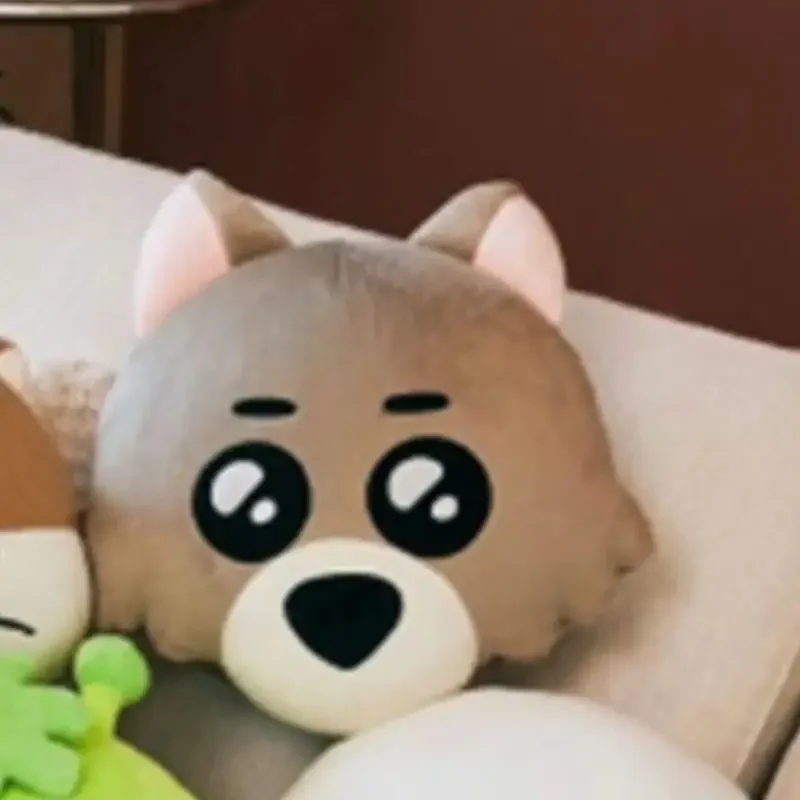 Boynextdoors Plush Pillow Kpop Boynextdoors Plushie Merch Boy Next Door Pillow sofa decoration Keyring Fans Gift 5