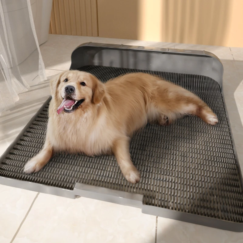 How To Train Dog To Poop On Pee Pad