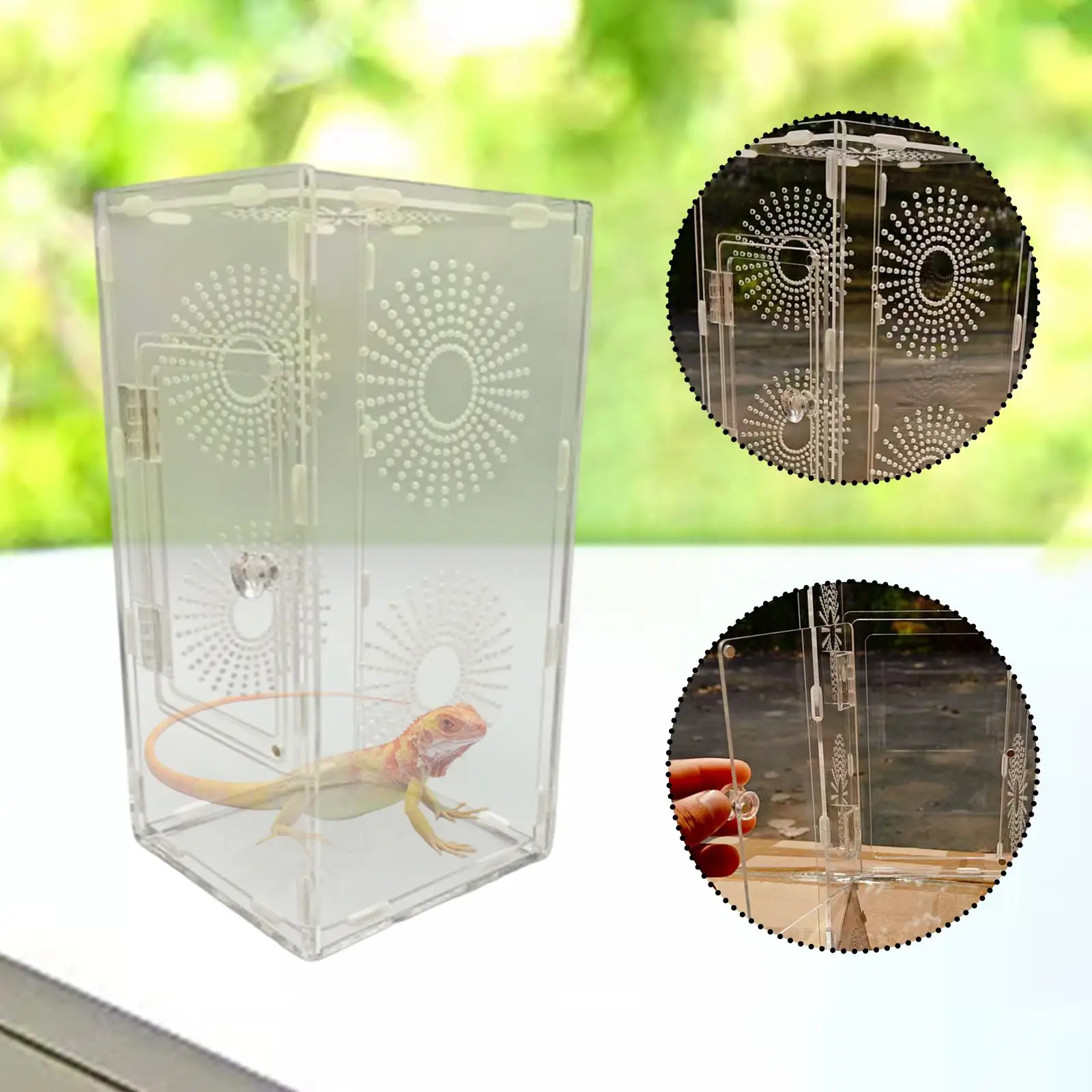 Acrylic Habitat Enclosure for Mantis Jumping Spider 15x15x30cm Accessory Quick Installation Multifunctional Transparent