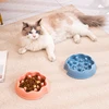 Slow Feeder Dog Bowls Dish Puppy Food Water Bowl For Dog Cat Non Slip Slow Eating Puzzle Maze Fun Pets Feeding Bowl Anti-gulping 1