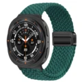 Rainforest Green