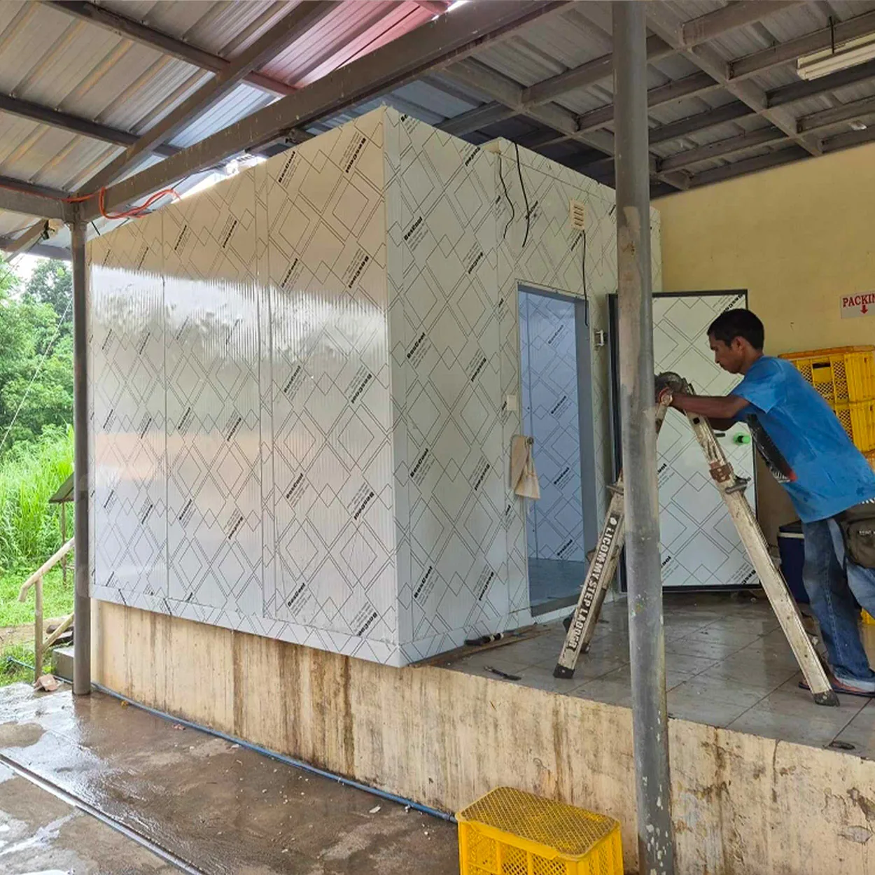-35~-80℃ Quick-Frozen Blast Freezer Low Temperature Commercial Storage Retail And Shop Walk-In Coolroom